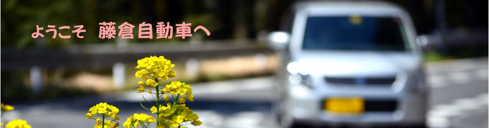 菜の花と車の写真